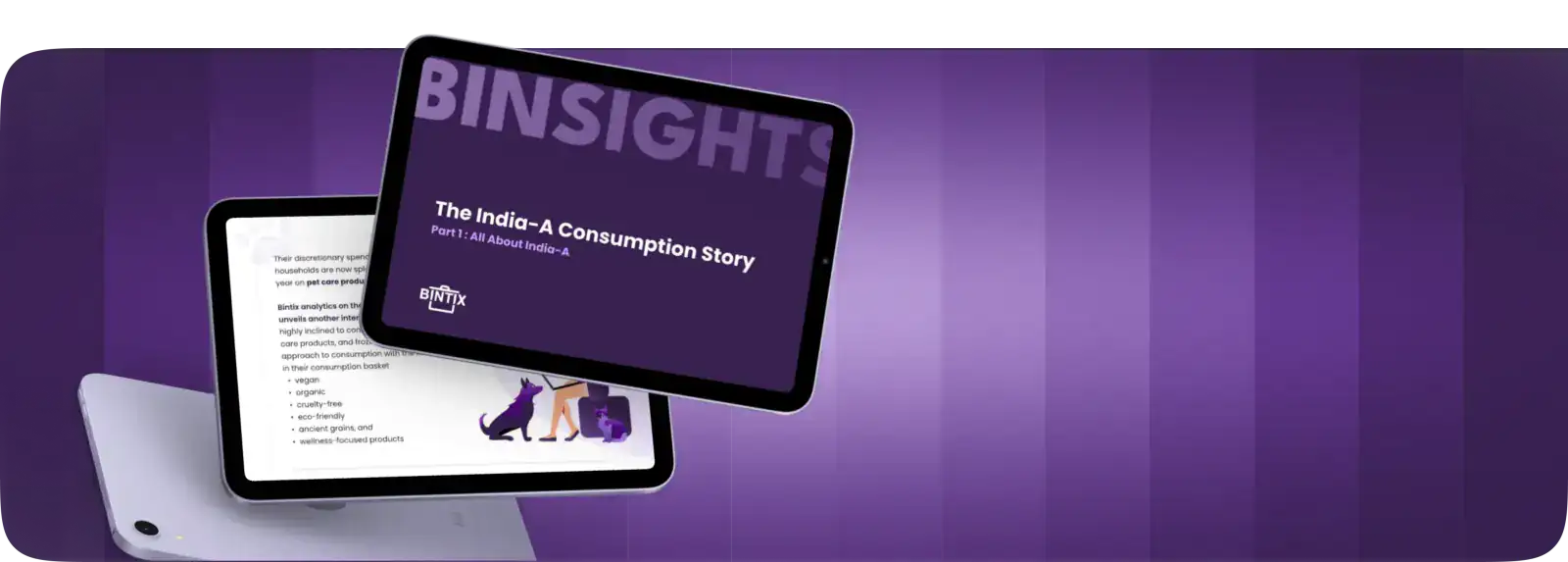 Binsights dashboard showing household purchase insights