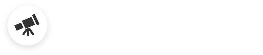 Bintellegence Logo