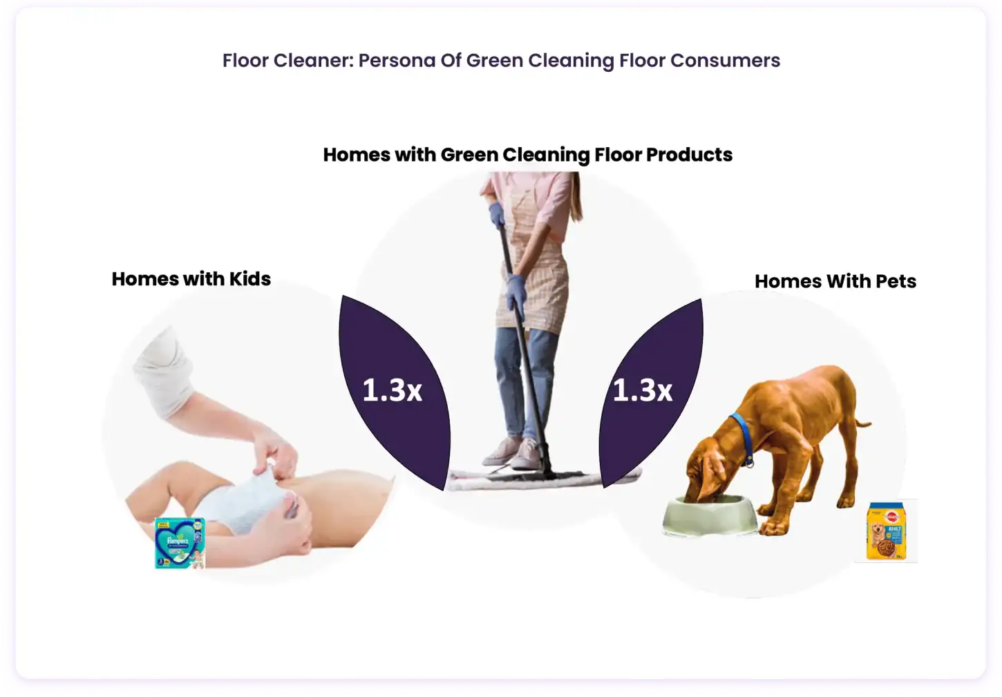 Floor Cleaner Insights (left)
