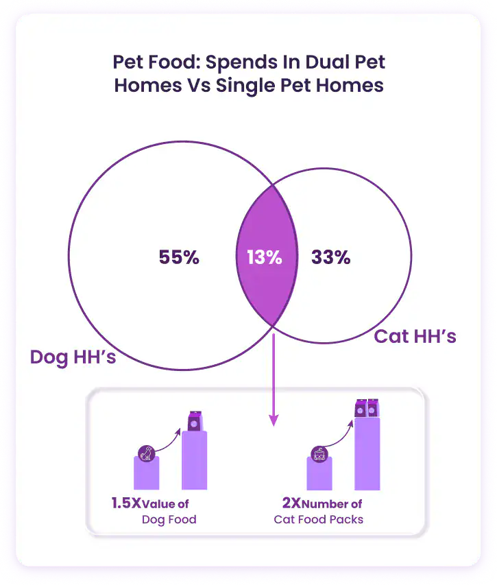 Pet Care Insights