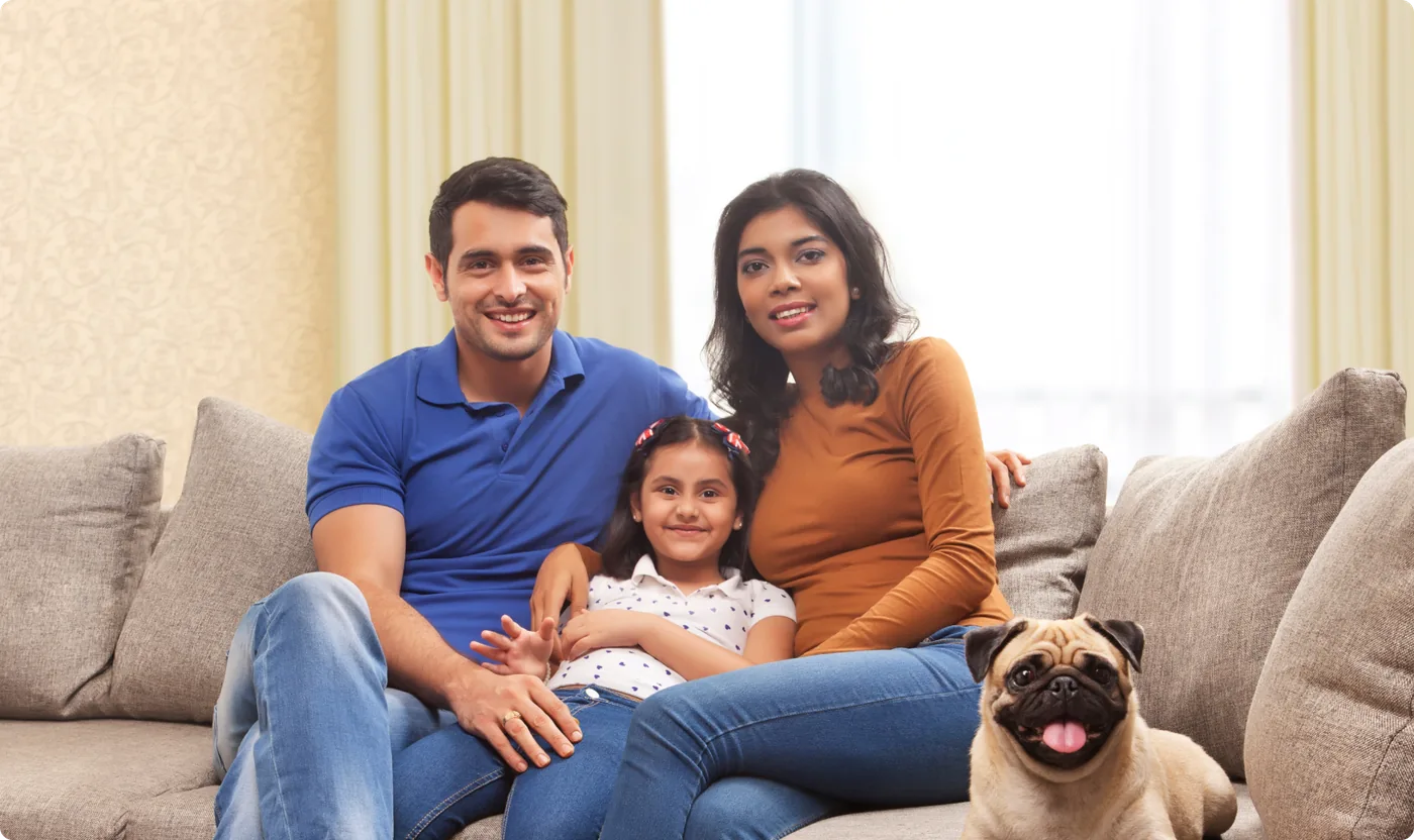 The India-A Consumption Story
